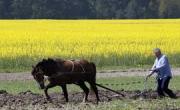Ukraine Farmers Struggle